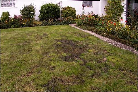 Garten Und Landschaftsbau Jurgen Seelig Gartengestaltung